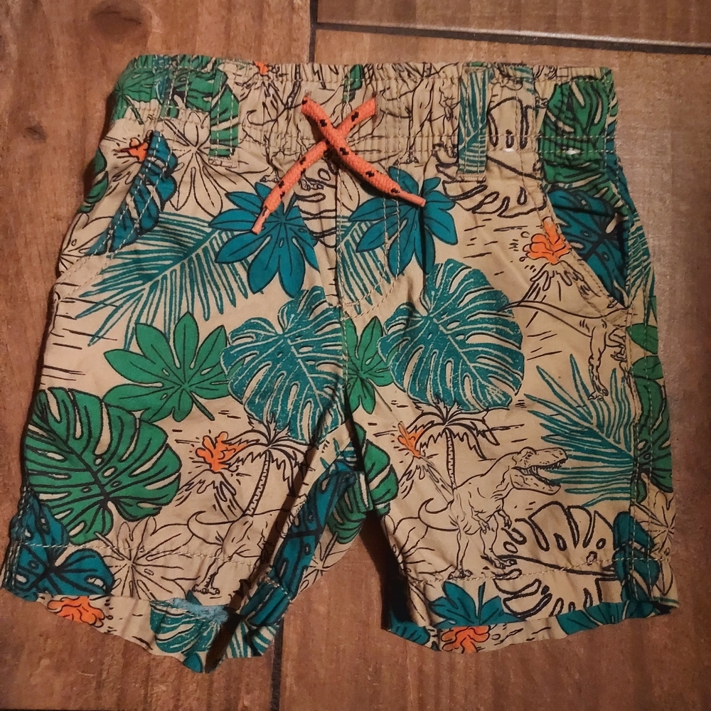 Gymboree Jurassic World Toddler Shorts